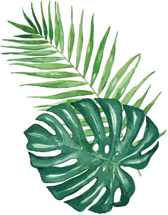 right leaf image