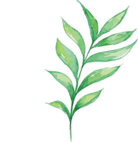 left leaf image